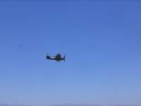 Photo Number 13