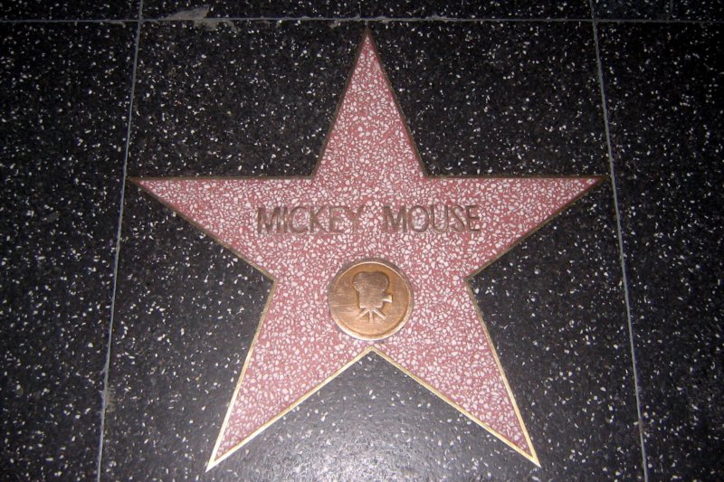 Photograph