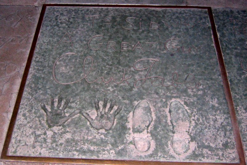 Photograph