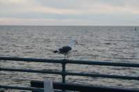 Photo Number 13