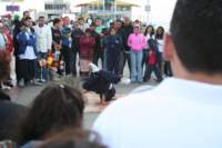 Photo Number 7