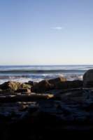 Photo Number 6