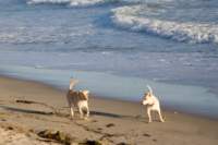 Photo Number 13