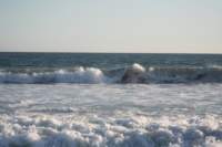 Photo Number 6