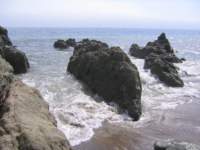 Photo Number 5