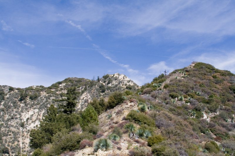 photo24.jpg