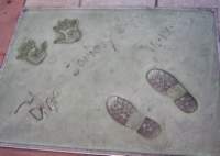 photo16_small.jpg