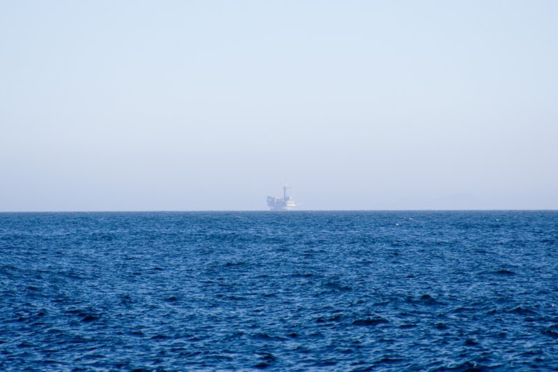 photo26.jpg
