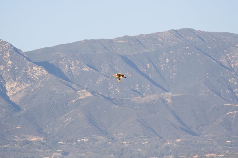 photo29.jpg