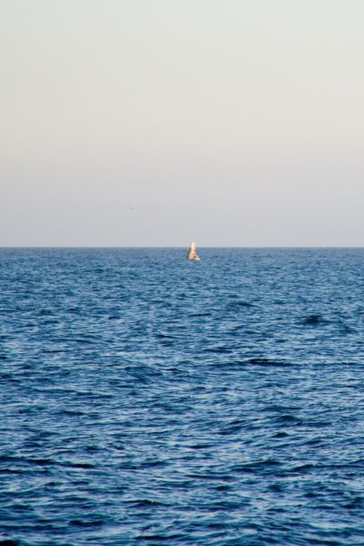 photo32.jpg