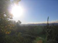 Photo Number 13