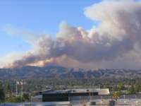 Photo Number 14
