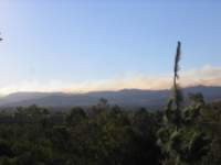 Photo Number 9