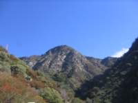 Photo Number 1