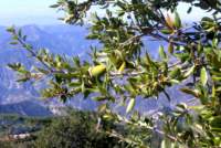 Photo Number 13