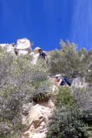 Photo Number 14