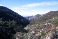 Photo Number 16