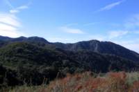 Photo Number 18