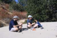 Photo Number 9