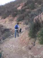 Photo Number 10