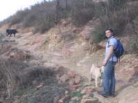 Photo Number 11
