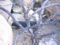 Photo Number 15