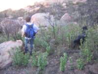 Photo Number 16