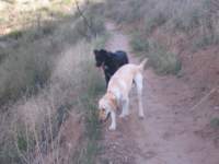 Photo Number 2