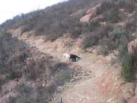 Photo Number 9