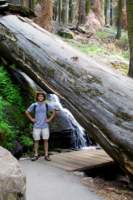 Photo Number 13