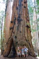 Photo Number 16