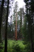 Photo Number 23