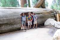 Photo Number 9