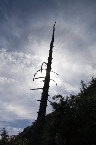 photo1.jpg