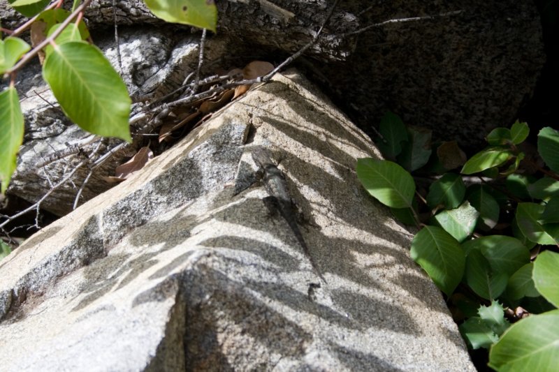 photo11.jpg