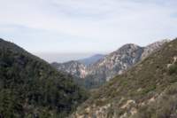 photo4_small.jpg