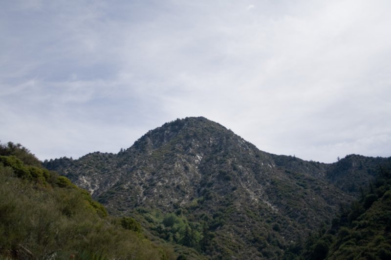 photo9.jpg