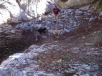 photo12_small.jpg