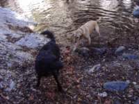 photo15_small.jpg