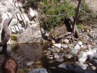 photo19_small.jpg