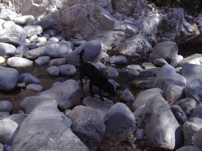 photo20.jpg