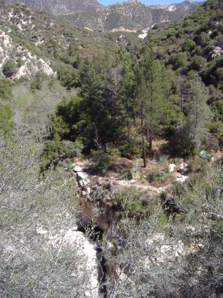photo4.jpg