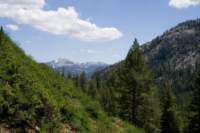 Photo Number 11