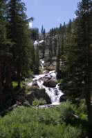 Photo Number 13