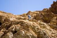 Photo Number 15