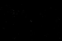 photo8_small.jpg