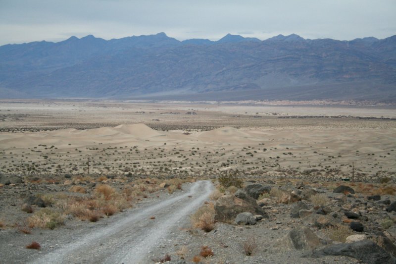 photo37.jpg