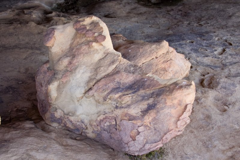 _coolrock.jpg