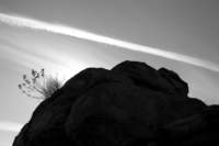 _rocksilhouette_1_small.jpg