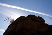 _rocksilhouette_small.jpg